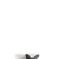 Sammie Sticker by Mainely Dogs