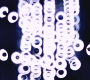 snl liveblog GIF by Saturday Night Live