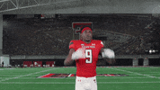 Tj Vasher GIF by Texas Tech Football