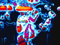 dance houston GIF by MFD