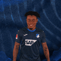 Sport Bundesliga GIF by TSG Hoffenheim