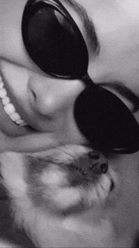 Puppy Smile GIF