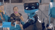 Carolina Panthers Football GIF by NFL