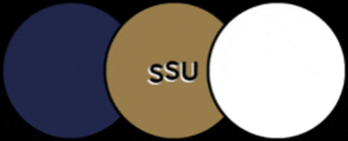 Smu Ssu GIF by smusportsunion