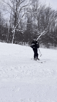 SKI