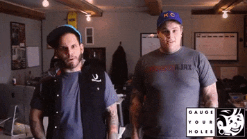 plugyourholes hit pyh roshambo plugyourholes GIF