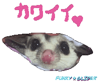 Papico Sticker