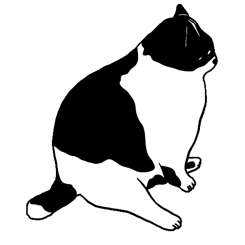 wonderyash giphyupload cat chill sit Sticker