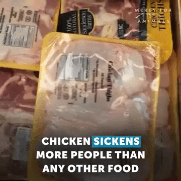 Sick Chicken GIF by Mercy For Animals