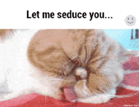 seduce GIF