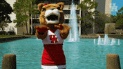 houstoncougars houston sasha gocoogs shasta GIF