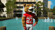 houstoncougars houston sasha gocoogs shasta GIF