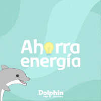 GIF by Dolphin Discovery