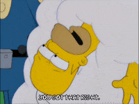homer simpson GIF