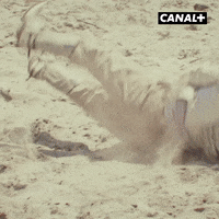 Fun Lol GIF by CANAL+