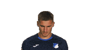Look Up Tsg Hoffenheim Sticker by Bundesliga