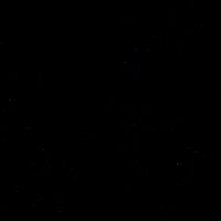 Goal Hockey GIF by Eisbären Berlin