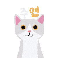 The Boyz Cat Sticker