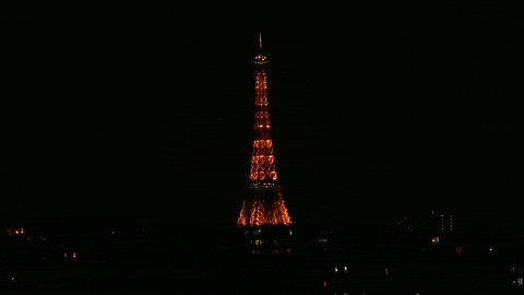 French Open Sport GIF by Roland-Garros