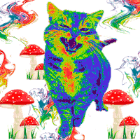 paohlopez animal colores psy seta Sticker