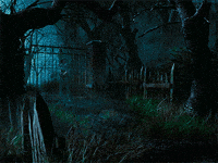 video games GIF