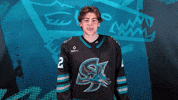 San Jose Hockey GIF by San Jose Barracuda