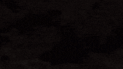 Gila Monster Lizard GIF