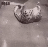 Eyes Noticing GIF