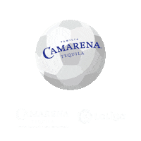 Soccer Game Sticker by Camarena Tequila