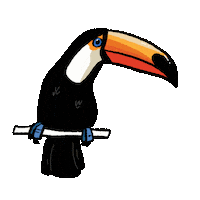 Toucan Sticker by girlinwhiteglasses
