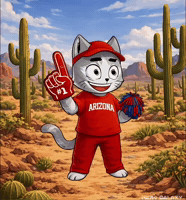 Arizona Wildcats GIF by Hero Galaxy NFT