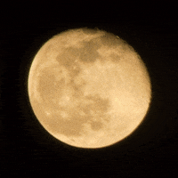 Full Moon GIF by Yasislas