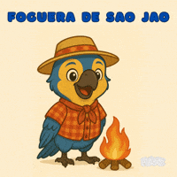 Festa Junina Fogueira GIF by Feraz NFT