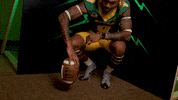 Bison Hart GIF by NDSU Athletics