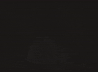 losrumberos retro vintage flores daniel GIF