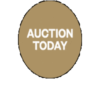Auctiontoday Sticker by Fox Real Estate