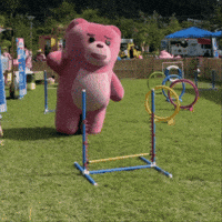 Fun Love GIF