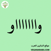 Middle East Wow GIF by VeganArabs