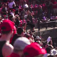 Bearcats Baseball Celebration GIF by Cincinnati Bearcats