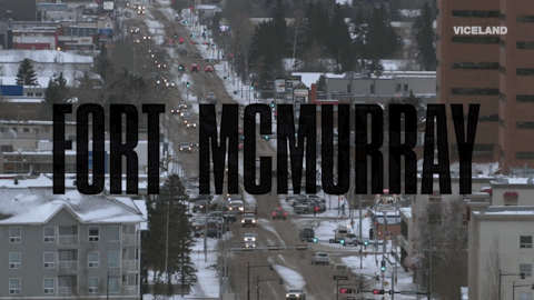 viceland GIF by Payday