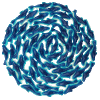 Candy Shark Sticker by Grandpa Joe's