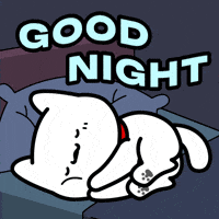Good Night Sleeping GIF by Lord Tofu Animation