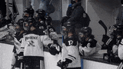 GIF by Providence Friars
