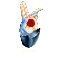 koytoyboy stars pride moon india Sticker