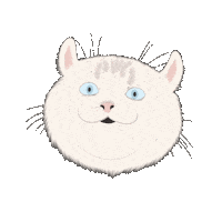Cat Meow Sticker