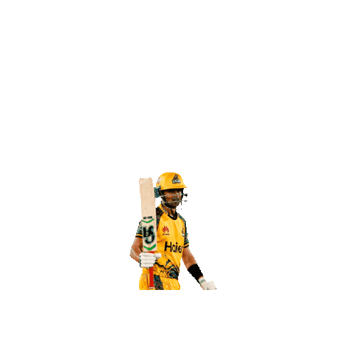 PeshawarZalmiPK giphygifmaker malik zalmi peshawar zalmi Sticker