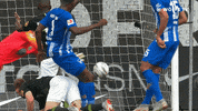 football soccer GIF by VfL Wolfsburg