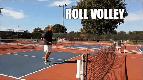 pickleballmax giphygifmaker GIF