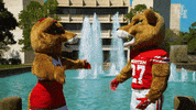 houstoncougars houston sasha gocoogs shasta GIF
