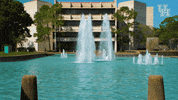 houstoncougars houston sasha gocoogs shasta GIF